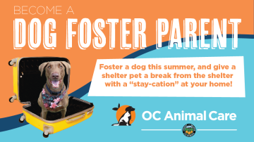 Foster parents for dogs discount